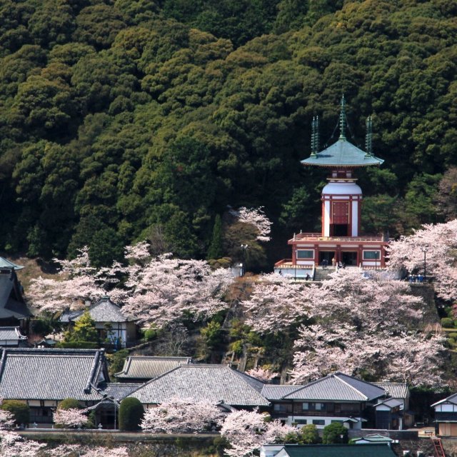 🏞️ 선사 봉우리 사찰 (젠지부지)